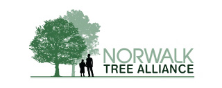 Norwalk Tree Alliance